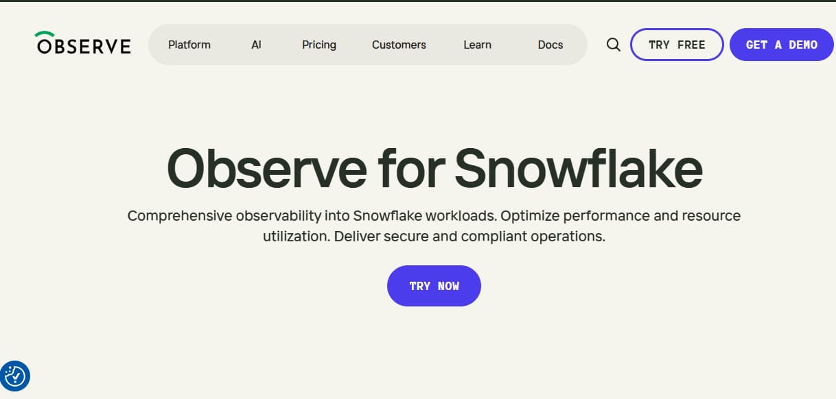 Observe snowflake monitoring tool