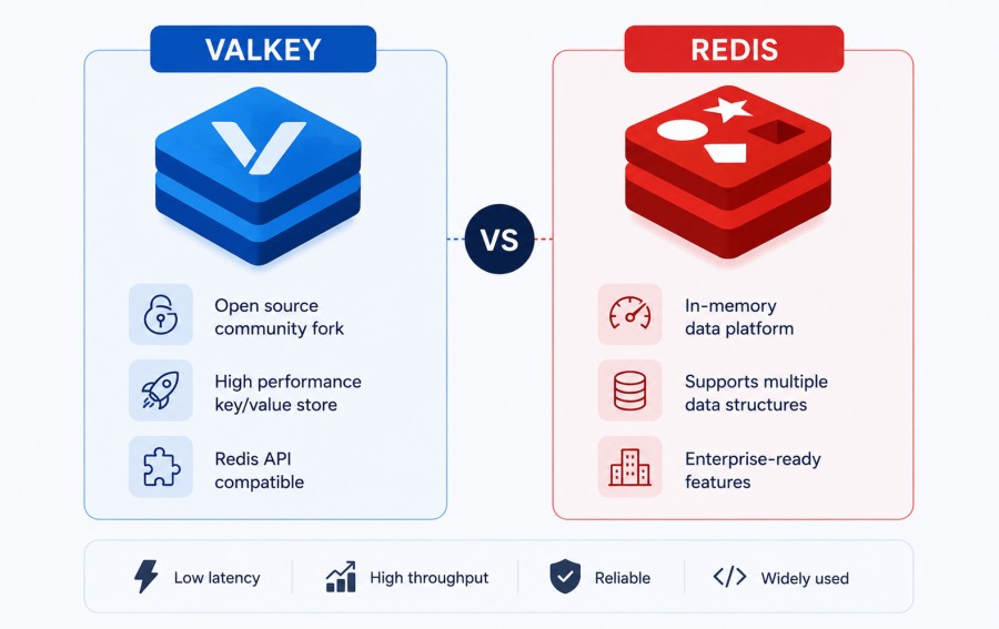 What Are Valkey and Redis?