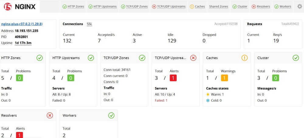 NGINX Plus built-in live activity monitoring dashboard