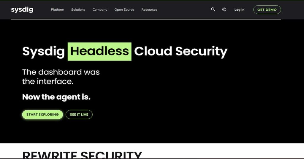 sysdig pricing and review